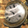 The Lost Watch 3D Screensaver icon